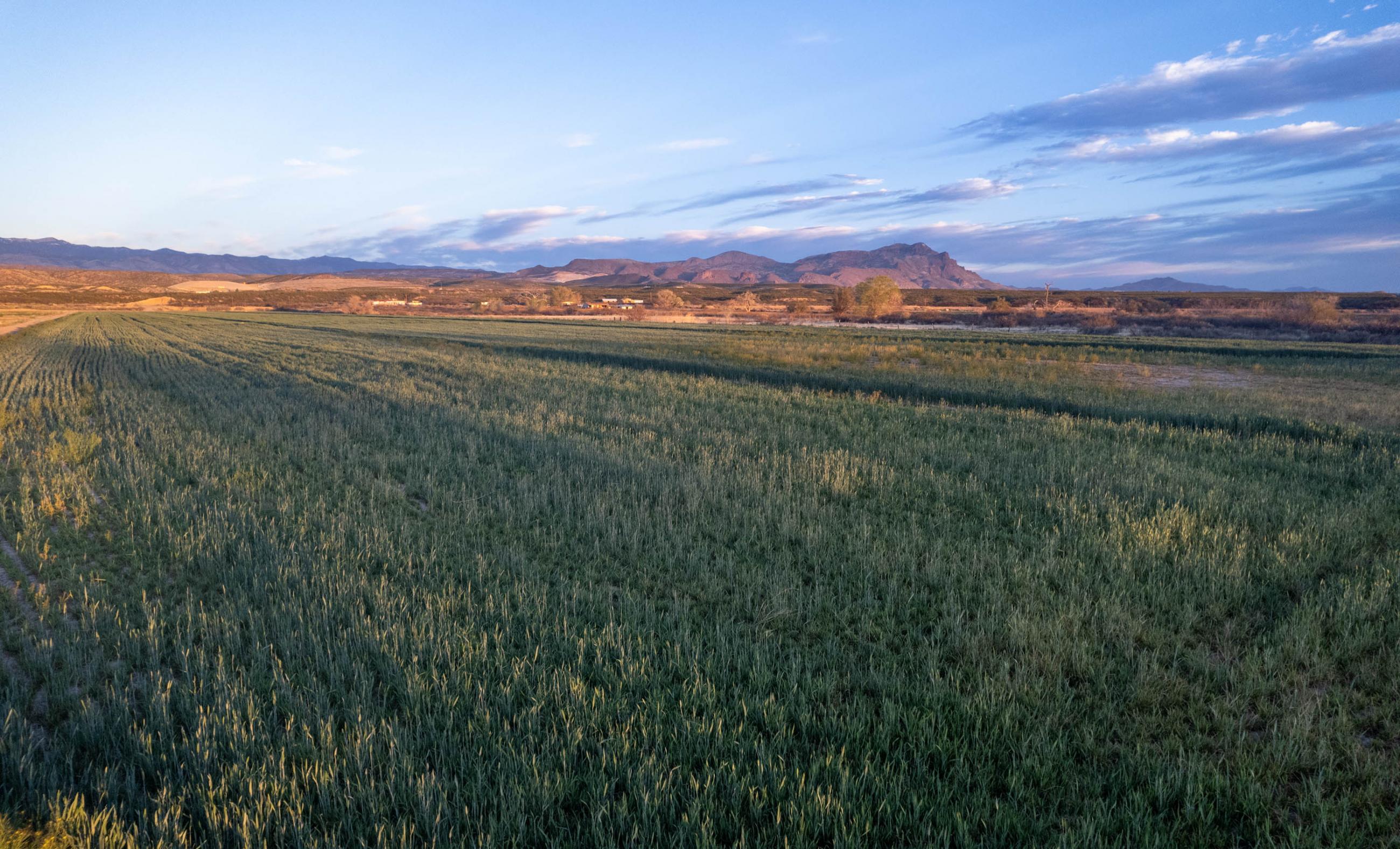 Mercer Farm Chas S. Middleton